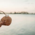 selective focus photo of a person holding a coconut drink