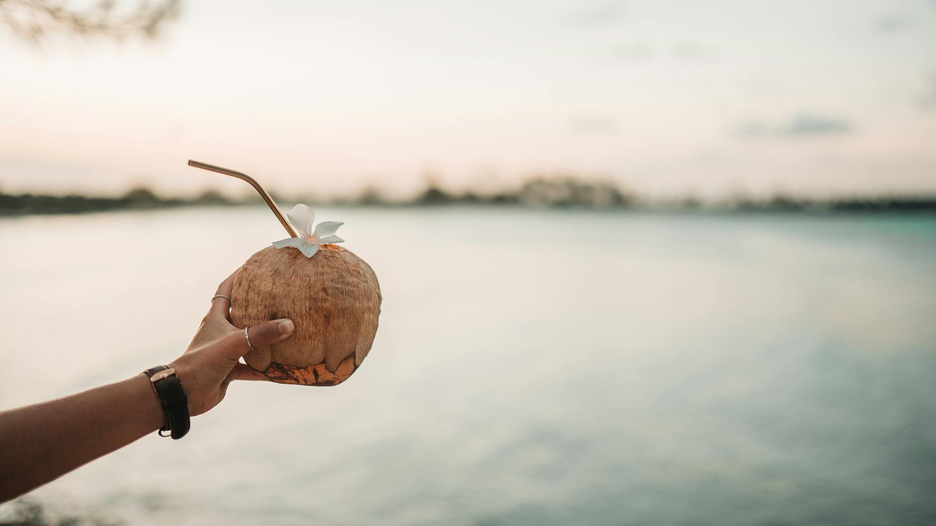 selective focus photo of a person holding a coconut drink