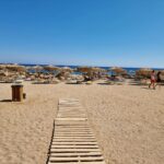 wood pallets on sand