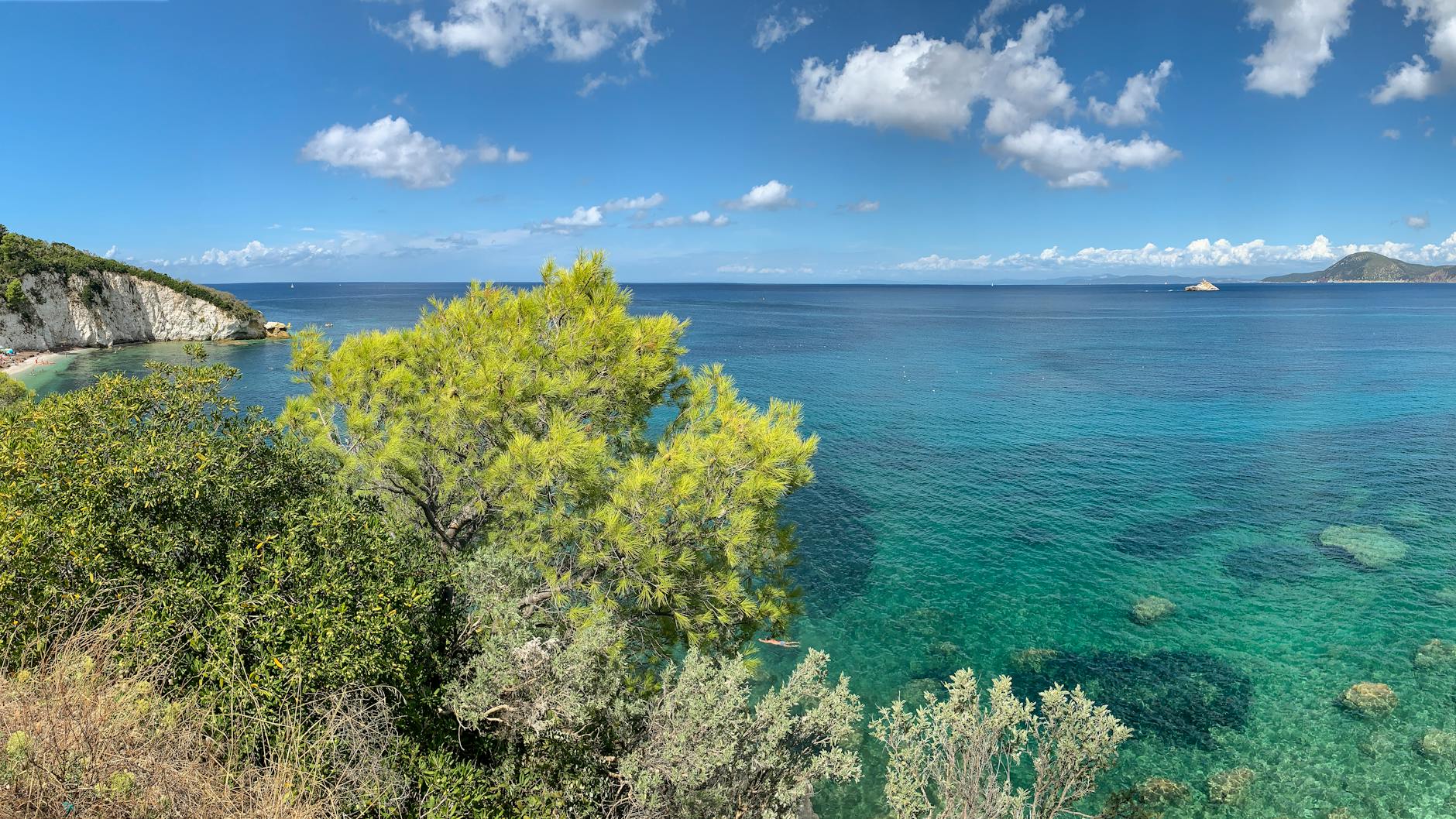 picturesque seascape with trees by shore